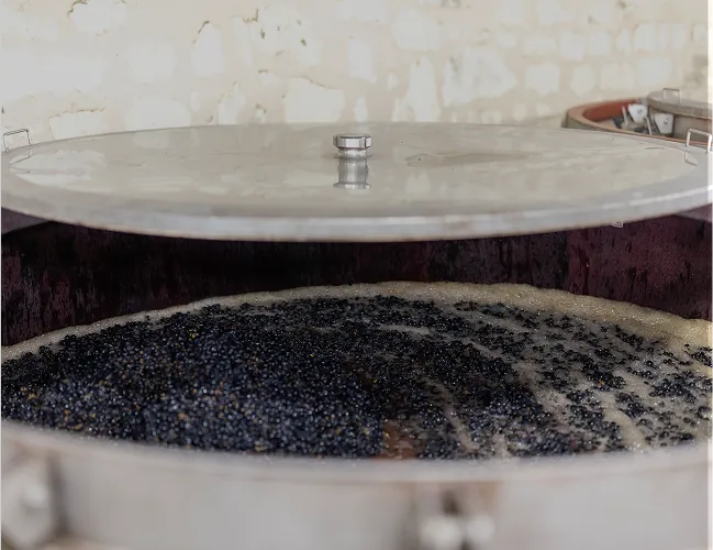 Nos Vins