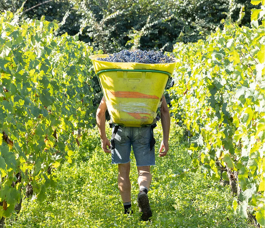 Le biologique, plus qu’une certitude