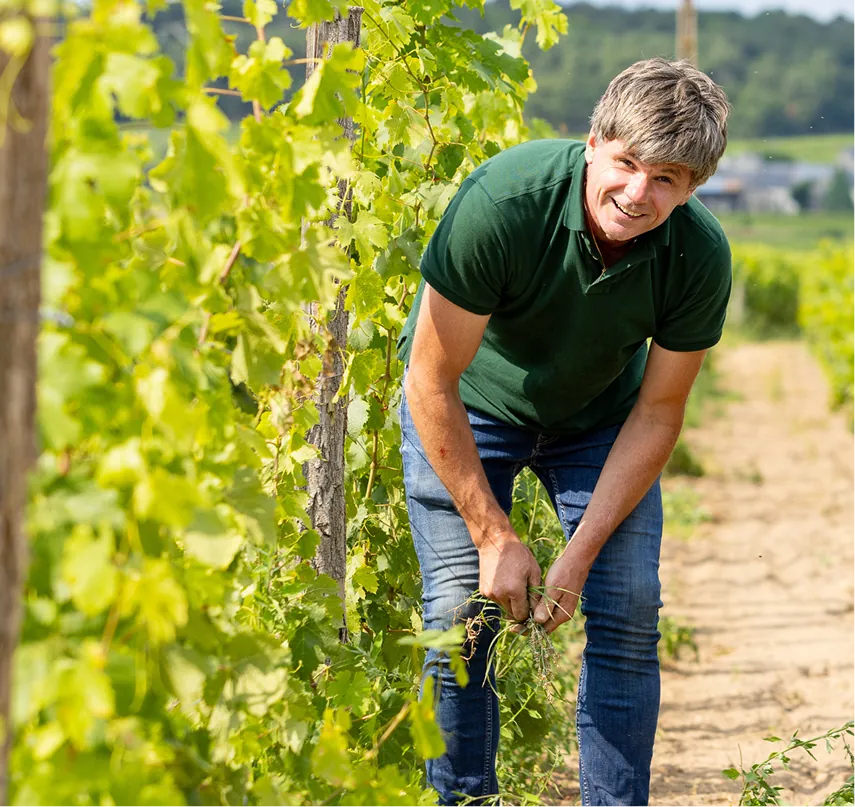 La passion de la vigne et du vin…