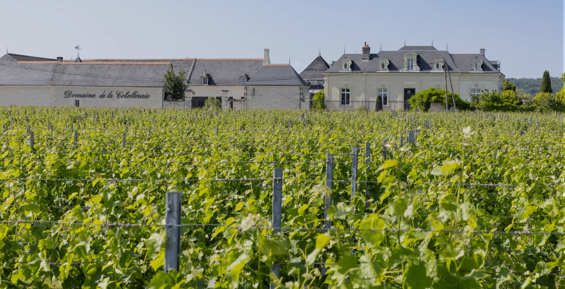 Domaine